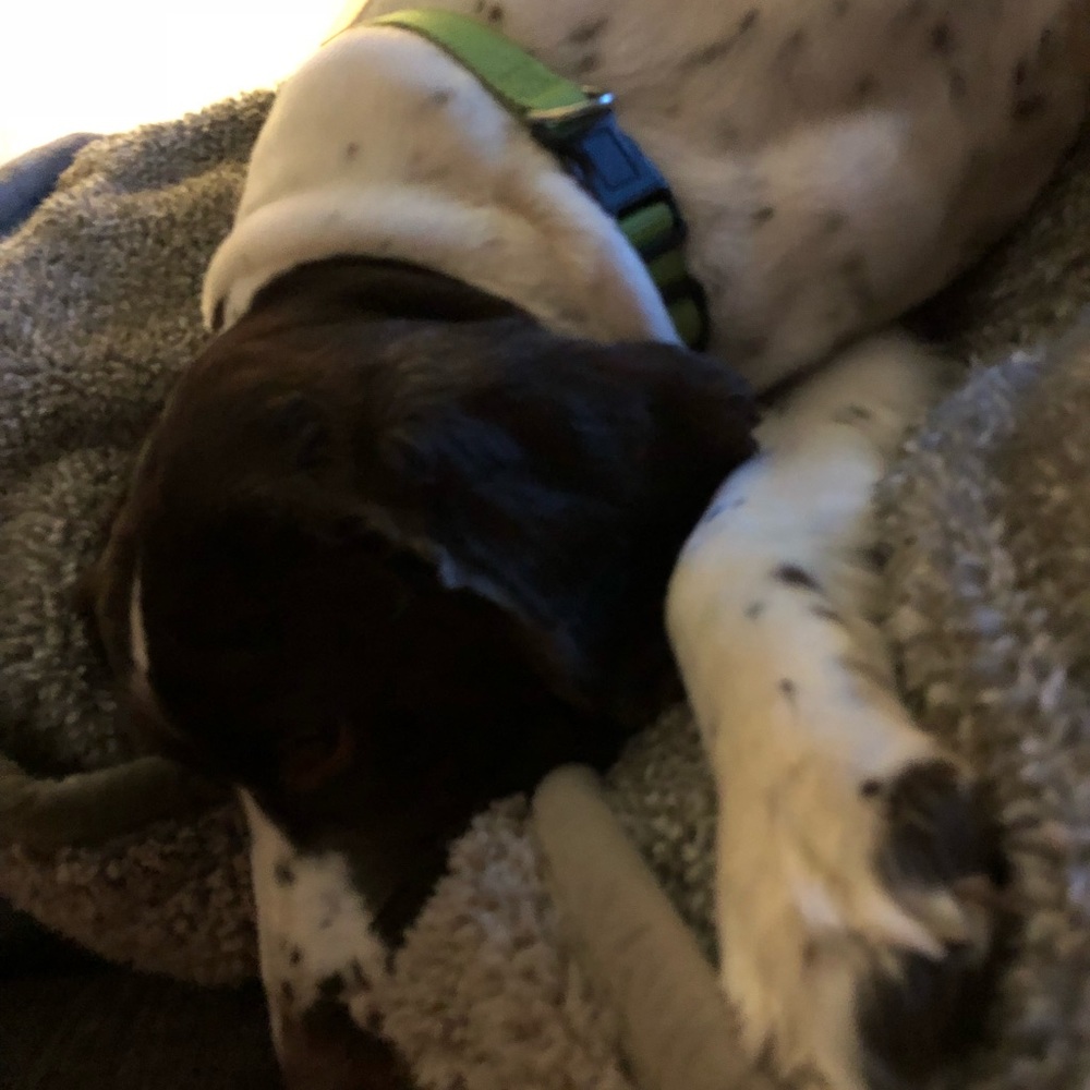 Meet your Posher, Amy